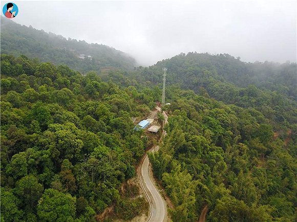 探秘云南西双版纳最高山峰滑竹梁子,发现古茶的美妙