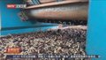 目标亩产1200公斤 袁隆平超级杂交水稻蒙自示范基地开始育秧