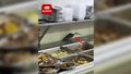 快餐店回应老鼠在售饭台上跑来跑去：都是要扔掉的剩饭，不会出售