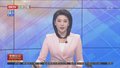 国际原子能机构总干事将于12月22日访问莫斯科