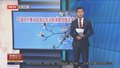 气温回升春花绽放北京花粉浓度持续走高