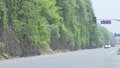“增绿提质”裸露山体披“新衣”