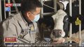 为你喝彩：麻柱