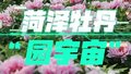 欢迎来到菏泽牡丹“园宇宙”