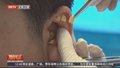 全国爱耳日：关注老年人听力健康 预防耳聋耳鸣发生