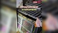 美国女子将孩子锁笼子里：浑身滚满屎尿