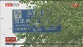 北京中心城区今起进入飞絮期