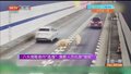 八头猪隧道内“逃逸” 施救人员化身“猪倌”