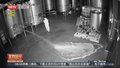 西班牙一酒庄遭破坏 蒙面人倾倒近6万升红酒
