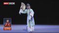 全国人大代表顾卫英：以舞台为中心 传承发扬中华传统艺术
