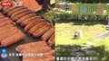 跳蚤市场淘宝贝+手工DIY，北京温榆河公园解锁夏日逛玩纳凉新方式