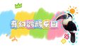 萌宠来袭！孩子们的奇幻鹦鹉乐园