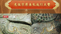 老祖宗原来也流行点赞