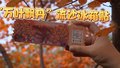 这对“双红”冰箱贴指定“红”