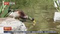 本周气温一路“狂飙” 五一假期尽享春日好时光