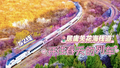 穿越花海、浪漫满分！乘坐焕新的市郊铁路S2驶向春天