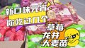 新口味元宵 您吃过几种？