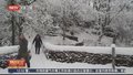 英国德国遭遇强降雪 交通混乱供电中断