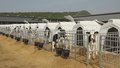 科技赋能 平谷区打造中国农科第一镇