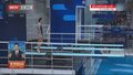 陈佳夺得跳水世界杯总决赛女子3米跳板冠军