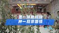 添一抹橄榄绿 种一段京堰情【3】