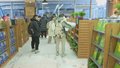 北京大力开展“书香京城”建设 多措并举扶持实体书店发展