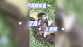 黑猩猩幼崽起名字也是抓阄决定吗？