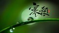 当寒露遇上高血压日 稳压先辨证型