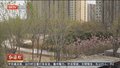 铁路景观廊道继续延伸 打造进京最美印象