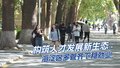构筑人才发展新生态 海淀区多管齐下稳就业