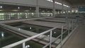 中心城区日供水量达369万立方米 创今年新高