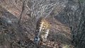 京冀晋三地启动“迎豹回家”生态修复工程