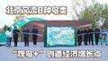 北京又添8种鸟类 “观鸟+”创造经济增长点