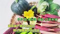 红秋葵、红菜头、贝贝瓜…汤河特菜丰收上市啦
