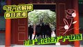 “花”式解锁春日浪漫  打造“赏花经济”产业链