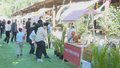 海淀区丰收节活动 让农业有了时尚表达
