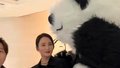 大熊猫与蒋勤勤互动】