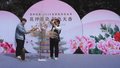 京城追春丨北京牡丹文化节开幕 全市17个牡丹展区诠释“国色天香”
