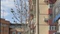 大风吹大风吹！先拆护栏！
