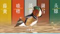 古都京城里有一位真正的“老北京”——鸳鸯