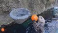 俄勒冈动物园海獭也是灌篮高手