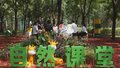 北京首个林长制主题公园落户城市副中心