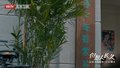 邓丽君拍摄歌舞电影歌迷小姐