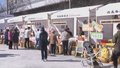 “北苑路88号”市集开市 每周六呈上新鲜优农产品