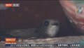 正阳门：挖掘故事 丰富中轴线文化内涵