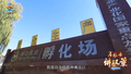 【局处长讲政策】共建高效对接工作机制 签出自主培育种禽出口首证