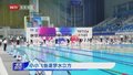 小小飞鱼  逐梦水立方