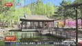 京城最晚樱花盛放 龙庆峡开园迎客