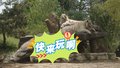 北京野生动物园开启“五一”自驾节
