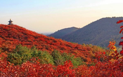 北京重阳节登高好去处：香山